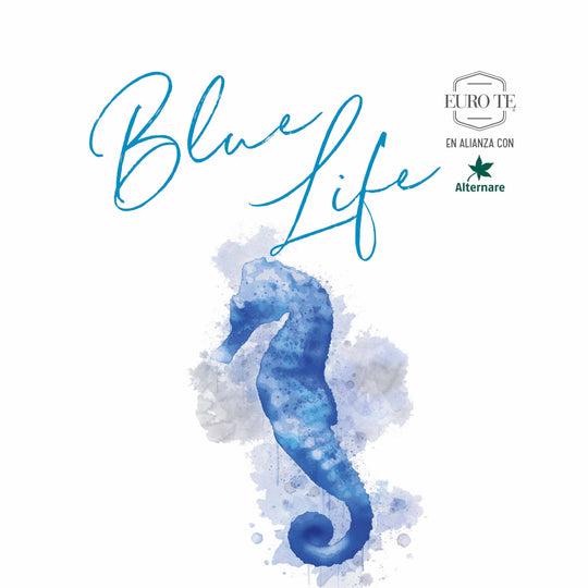 Blue Joy - Colección Blue Life