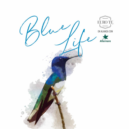 Blue Velvet - Colección Blue Life