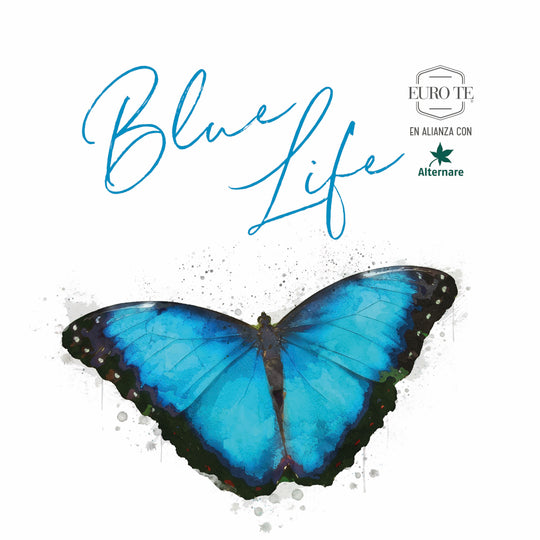 Blue Butterfly - Colección Blue Life