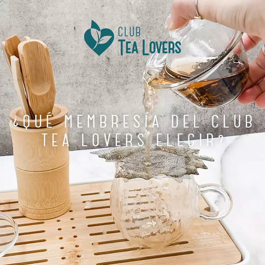 ¿Qué membresía del Club Tea Lovers elegir?