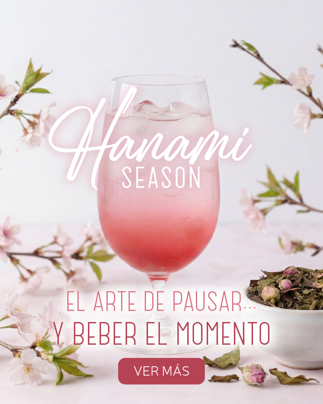 Imagen de diapositiva