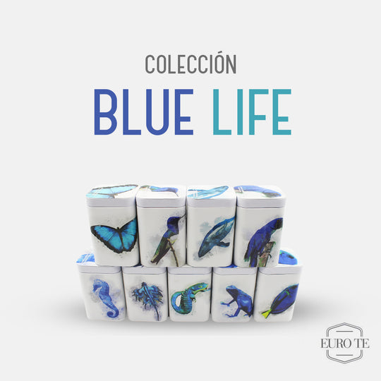 Colección Blue Life