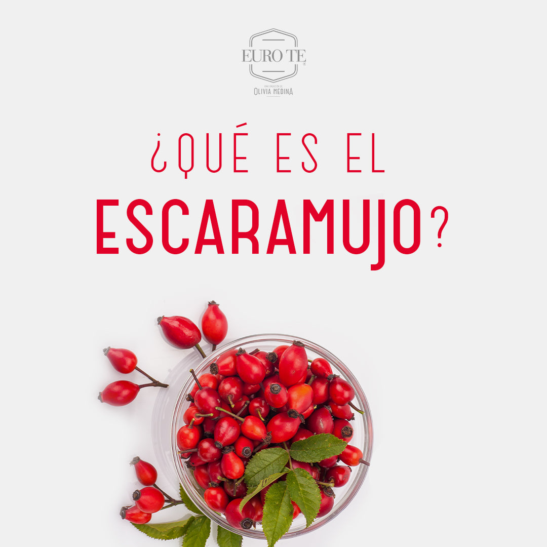 ¿Qué Es El Escaramujo?