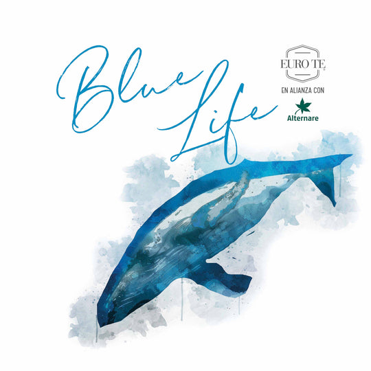 Blue Tango - Colección Blue Life
