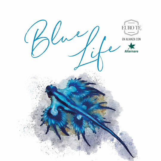 Blue Thai - Colección Blue Life
