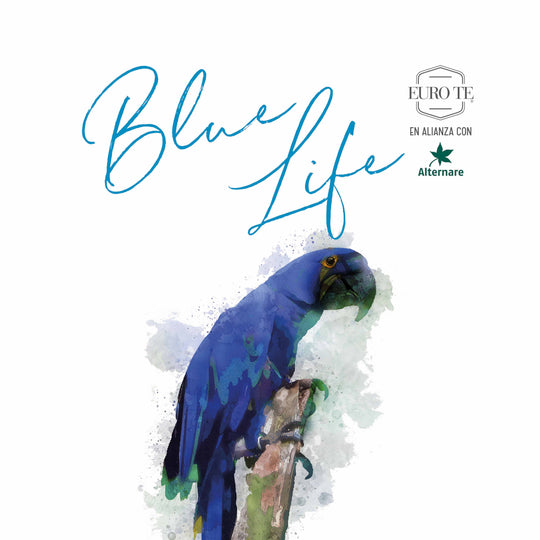 Blue Tropic - Colección Blue Life