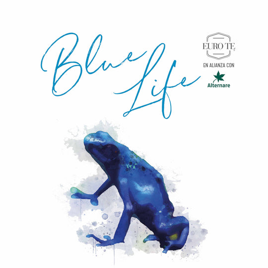 Berry Blue - Colección Blue Life