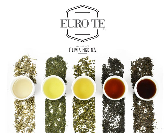 ¿Qué hace diferente a EURO TE?