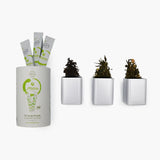 Aligera-Té - Set