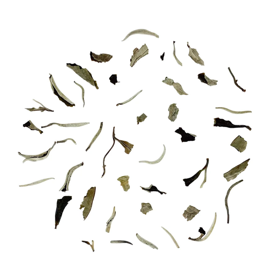 Blanco de Luna - Té blanco