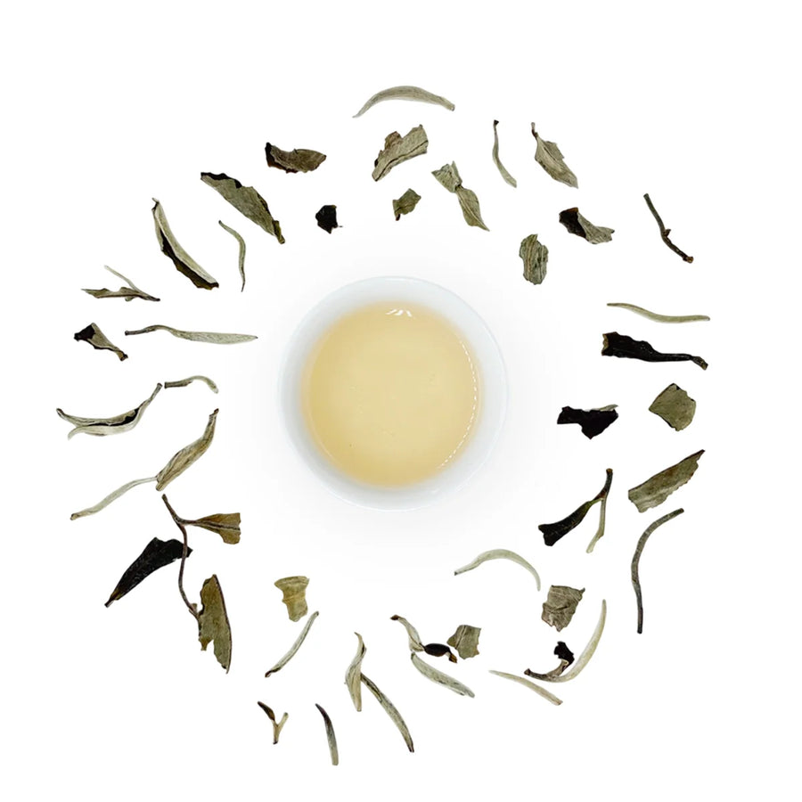 Blanco de Luna - Té blanco