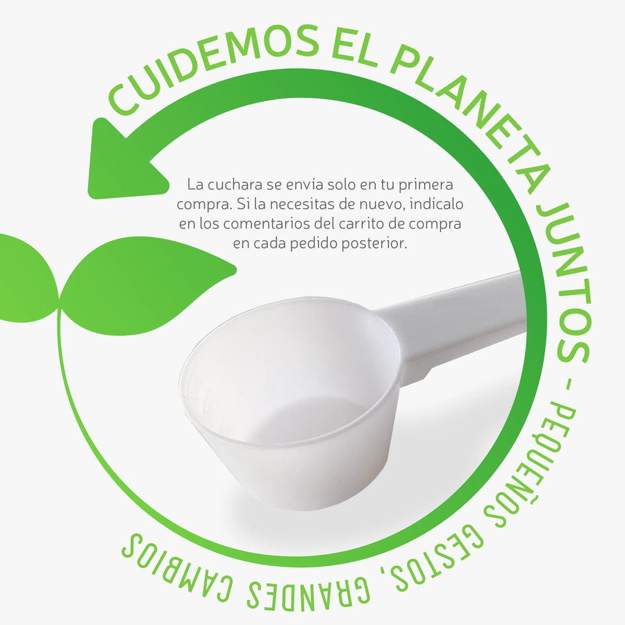 Polvo EURO TE Matcha Fórmula Mejorada - Polvo para Frappé