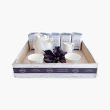 Regalo Blue - Regalo