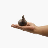 Happy Tea Pet Gallo - Tea Pet