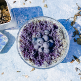 Blue Matcha - Tisana herbal