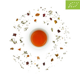 Carrot Veggie Tea, Orgánico - Té verde