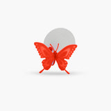 Infusor Mariposa - Infusor