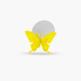 Infusor Mariposa - Infusor