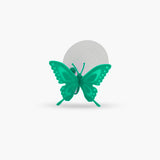 Infusor Mariposa - Infusor