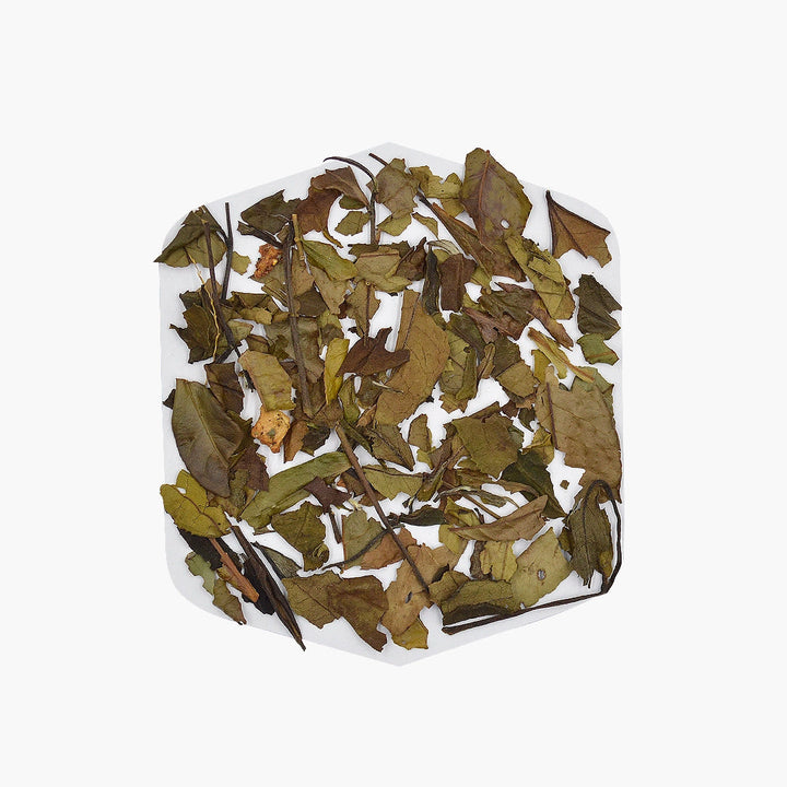 Blanco Fresa Imperial - Té blanco