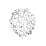 Kenia GFOP Milima Golden Tipped - Té negro