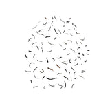 Rwanda OP, Orgánico - Té negro